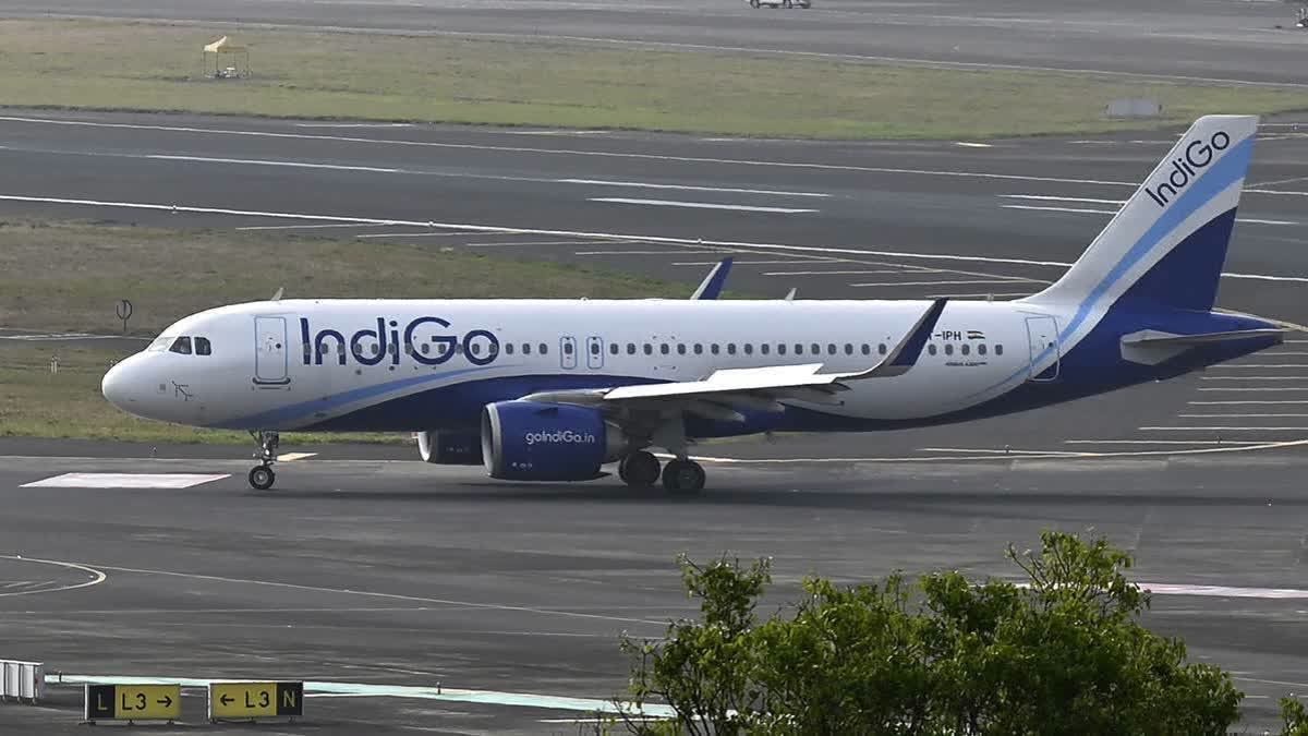 Bengaluru-Mumbai Indigo Aircraft Suffers Bird-Hit
