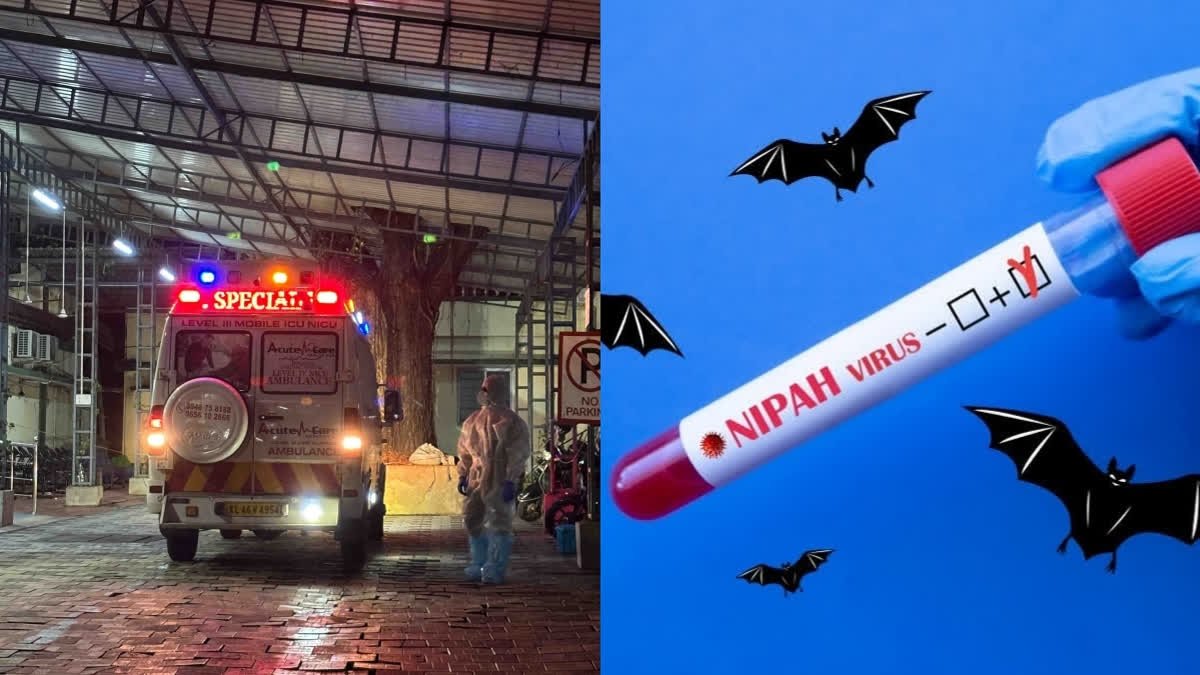Kerala On High Alert After Kozhikode Man Tests Positive For Nipah Virus