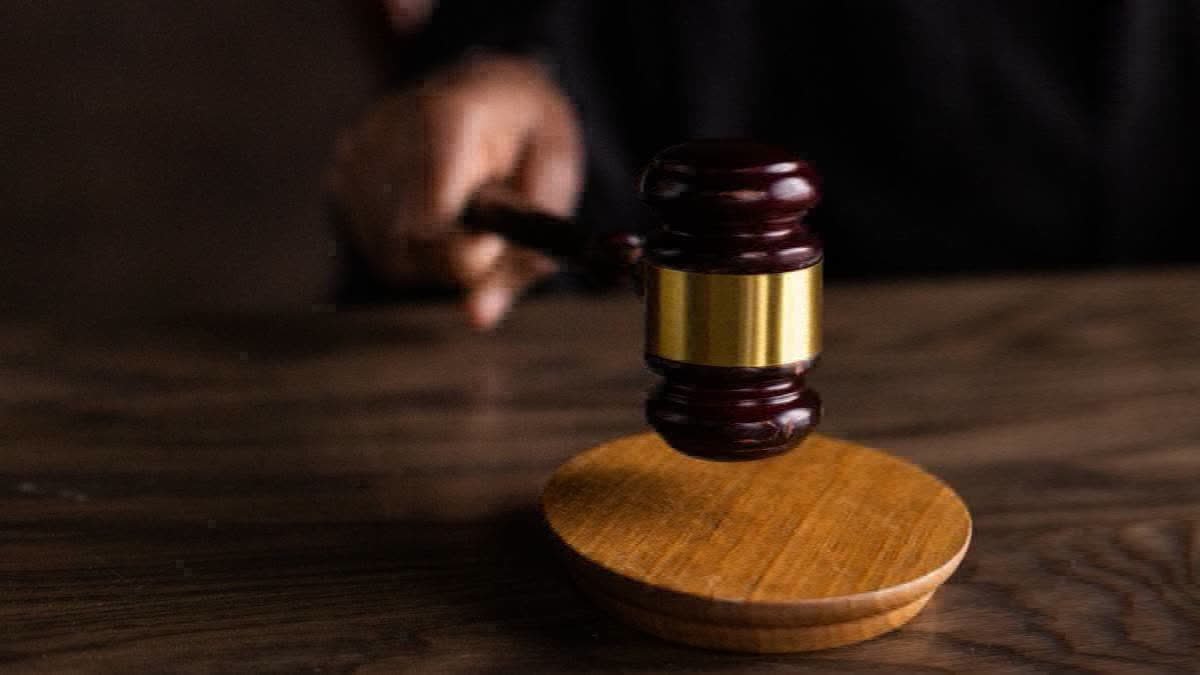 Delhi Court Grants Bail To Woman Accused In Fake ED Raid On Elderly Couple