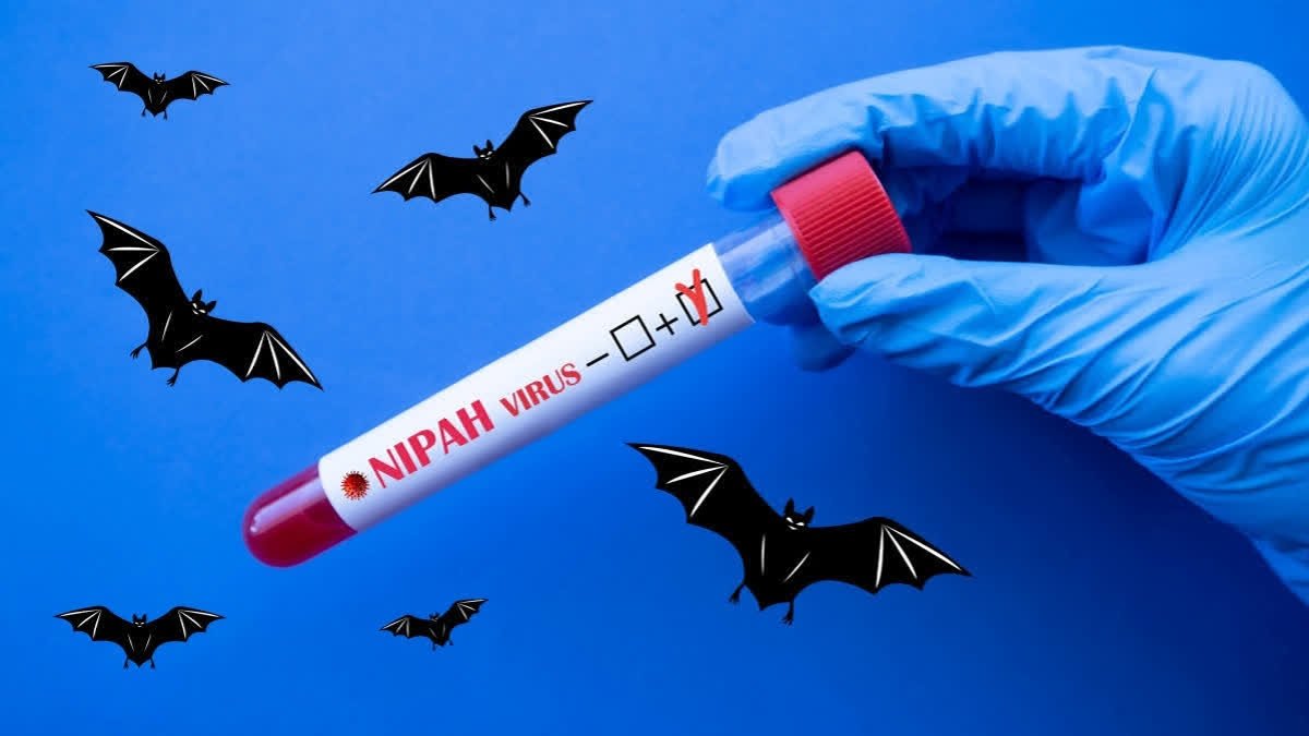 ICMR Team In Kerala's Kozhikode After Confirmation Of Nipah Case