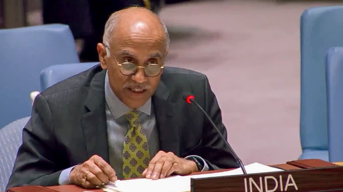 India Rejects Expansion Of Only Non-Permanent UNSC Seats, Says Reform Would Be 'Bordering On Failure'