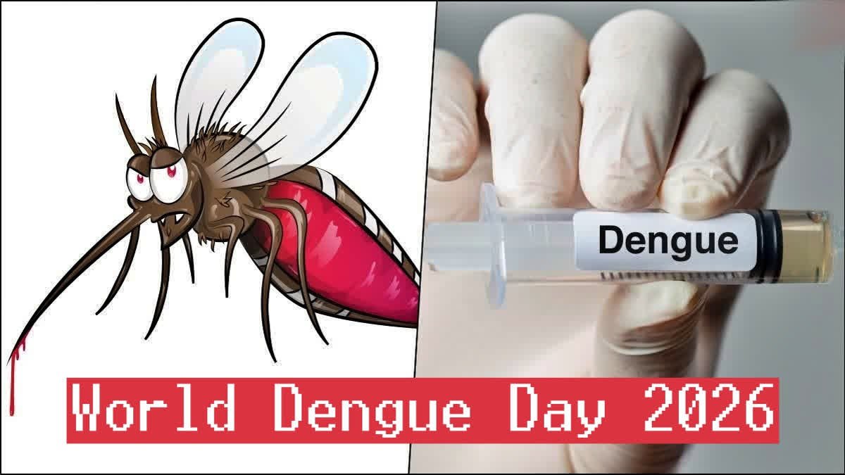 World Dengue Day 2026: With Cases Rising In The Rainy Season, Learn The Key Symptoms And Prevention Tips