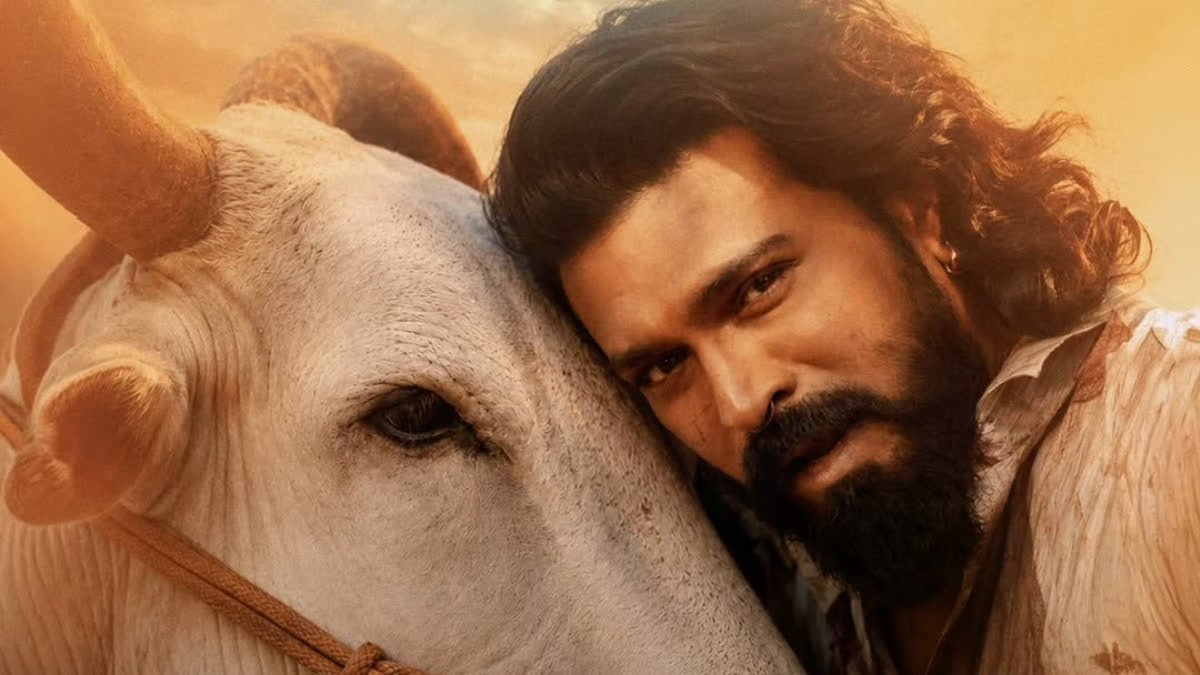 Peddi Box Office Collection Day 15: Will The Newly Added Scenes Give Ram Charan's Film A Third-Weekend Boost?